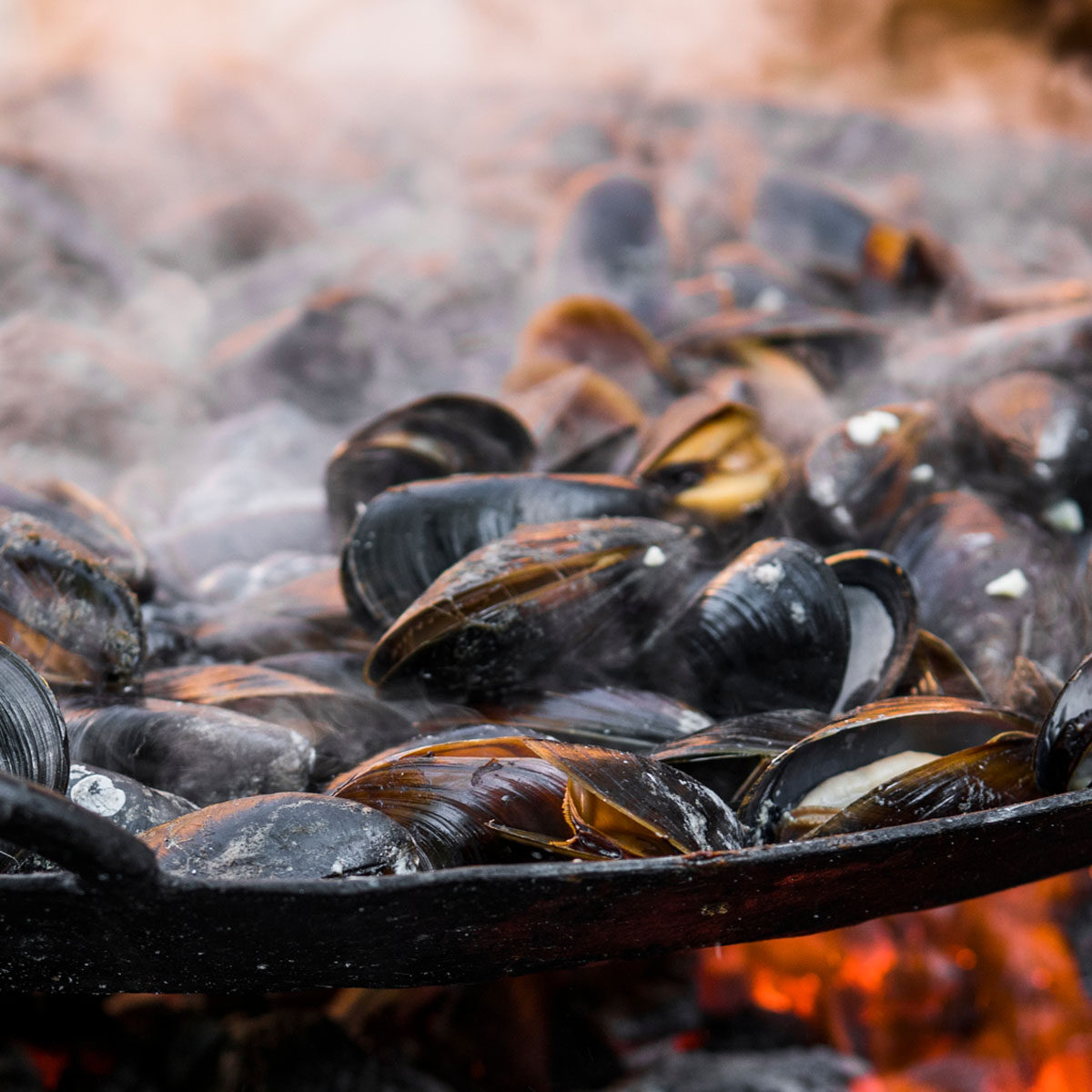 Fresh,Mussels,At,Grill,Pan.,Seafood,Barbecue,Outdoors.,Picnic,Healthy Fresh mussels at grill pan. Seafood barbecue outdoors. Picnic healthy food, mussels in shells. Plenty of mussel shells cooking at large metallic pan.